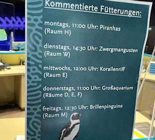 Aquazoo Löbbecke Museum Düsseldorf