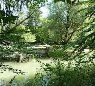 Auerochs & Tarpan Anlage