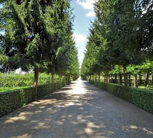 Unterwegs im Rokoko-Hofgarten