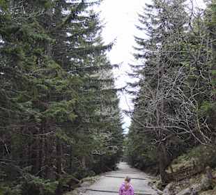 Berg Schneekoppe/Śnieżka