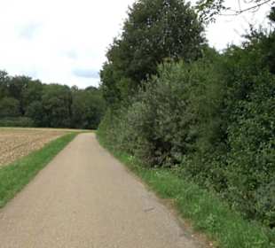 Themenweg Kaiserweg Zimmern