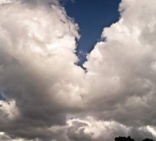 Кладбище Ольсдорф, Гамбург, 16 сентября 2013 года