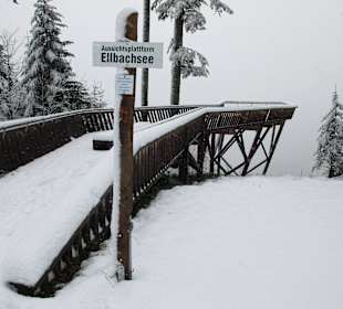 Aussichtsplateau bei Kniebis