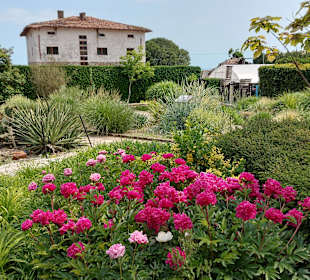 Umgebung + Botanischer Garten Baltschik + Schloss