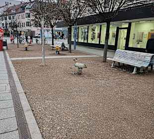 Ruhezonen am Petrusplatz