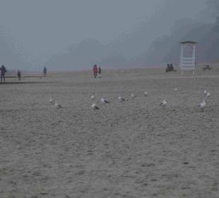 Strand Kolberg/Kolobrzeg