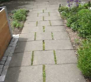 Benediktinerkloster Lorch