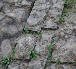 Plattenfund beim Tumulus- Ausflug