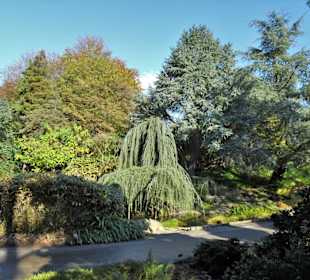 Rundgang durch den Botanischen Garten Hamburg