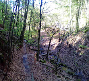 Wanderweg Sagenhafter Waldpfad Landstuhl
