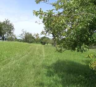 Premiumspazierweg Früchtetrauf-Leisawegle