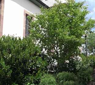 Bartholomäuskirche Schopfloch