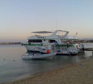 Tauchclub in der Nähe