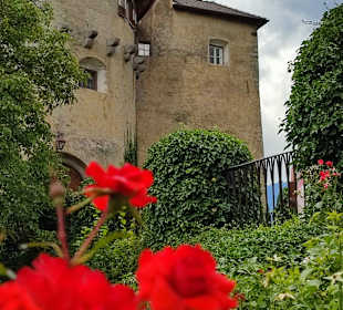 Wandergebiet Schennaberg