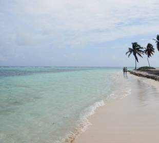 Isla Saona