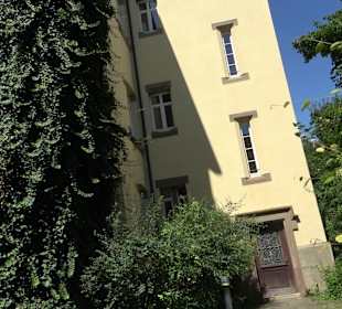 Palm'sches Schloss