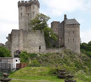 Adler- und Wolfspark Kasselburg