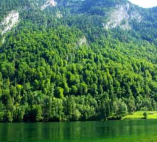 Gegenüberliegendes Ufer