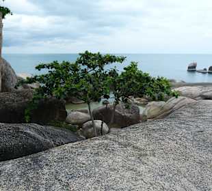 Am Großvater & Großmutter Felsen