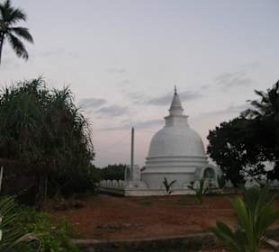 Dagoba