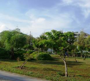 Grünflächen dazwischen