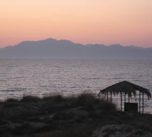 Tam Tam Bar... ein echter Geheimtip!