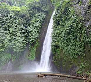 Munduk Wasserfall, Rollerausflug