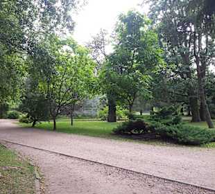 Palmiarnia Park Oliwski