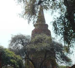 Wat Ratchaburana