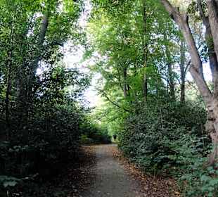 Spaziergang durch Wätjens Park