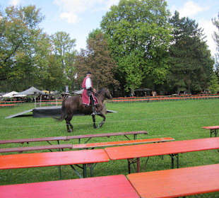 Mittelalterliches Spectaculum 