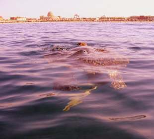 Podwodne życie w Abu Dabab