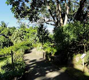 Impressionen aus dem Jardin Botanique de Deshaies