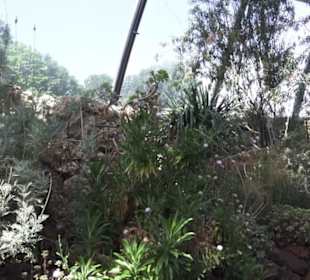 Botanischer Garten der Universität Zürich