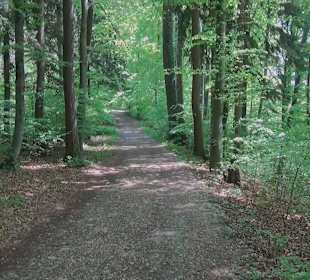 Rundwanderweg 