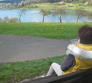 Blick auf das Schalkenmehrener Maar