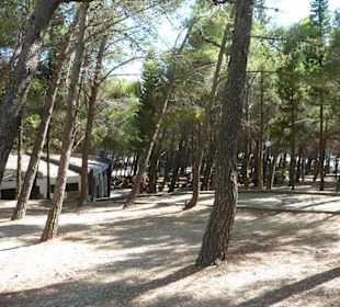 Zlatny rat - Goldenes Horn