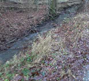 Wanderung rund um den Ochsenweiher