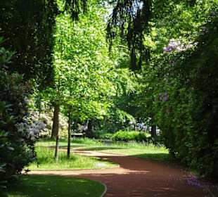 Sommeranfang im Schlossgarten Oldenburg