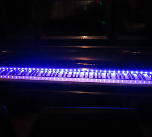 Pub Restaurant Piano