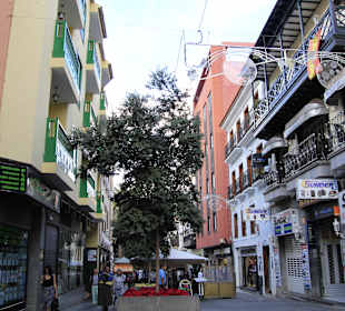 Wandern Puerto de la Cruz	