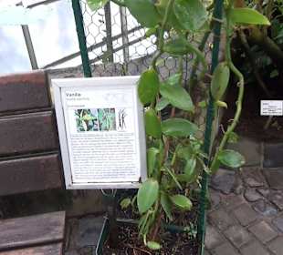 Tropicarium - Feuchte Tropen