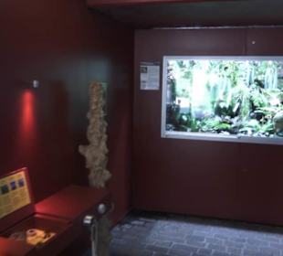 Botanischer Garten der Universität Zürich