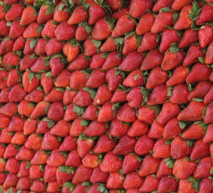 Erdbeeren auf dem Obst- und Gemüsemarkt