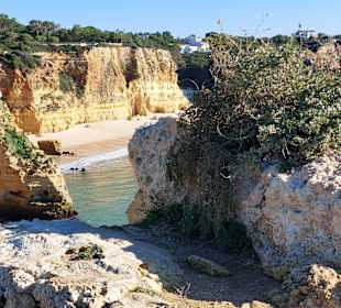 Seven Hanging Valleys Trail 