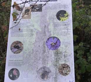 Umweltbildungszentrum Listhof