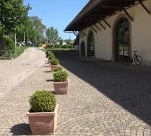 Schloss-Scheuer Baisingen