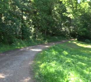 Eduard Lucas Musterobstgarten Mähringen