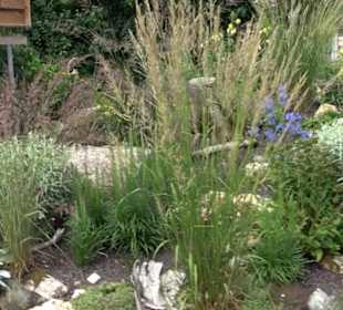 Blühendes Neresheim 2021