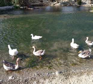 See bei der Taverne